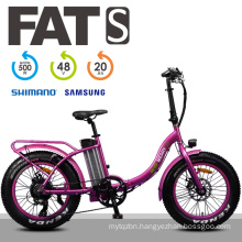 Customized High Speed Mini Flodable Ebike for Outdoor